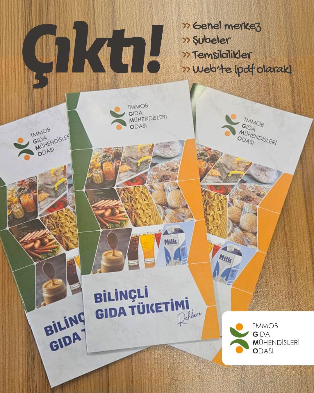 BİLİNÇLİ GIDA TÜKETİMİ REHBERİ 2025